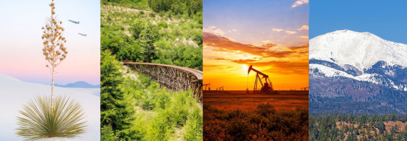 A composite of several scenic photos of New Mexico